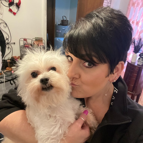 Live Show Notification ♥️ - Picture 3 of 12